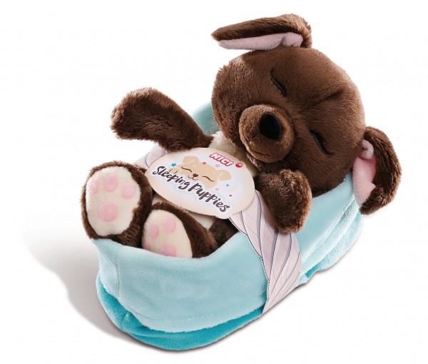 Sleeping Puppies dog 16cm in blue-turquoise basket