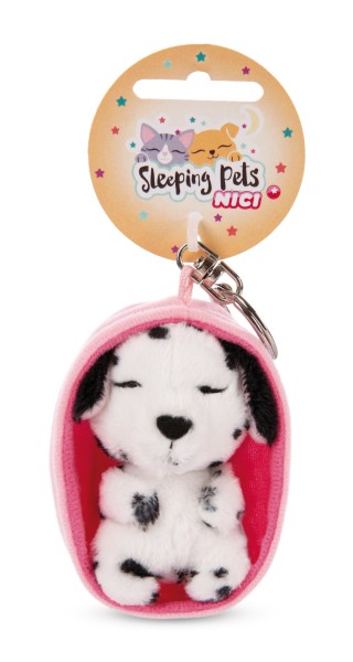 Keyholder Sleeping Pets Dalmatian Dog