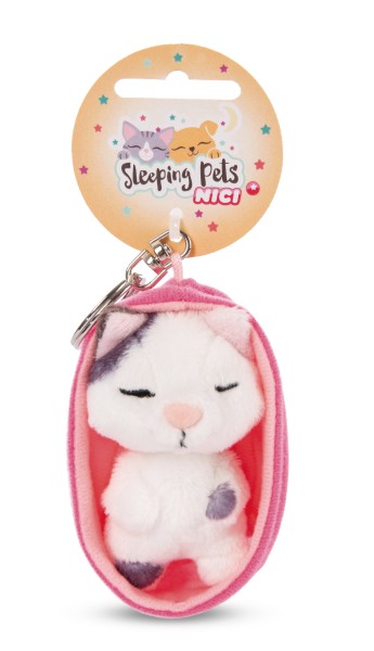 Keyholder Sleeping Pets Cat spotted