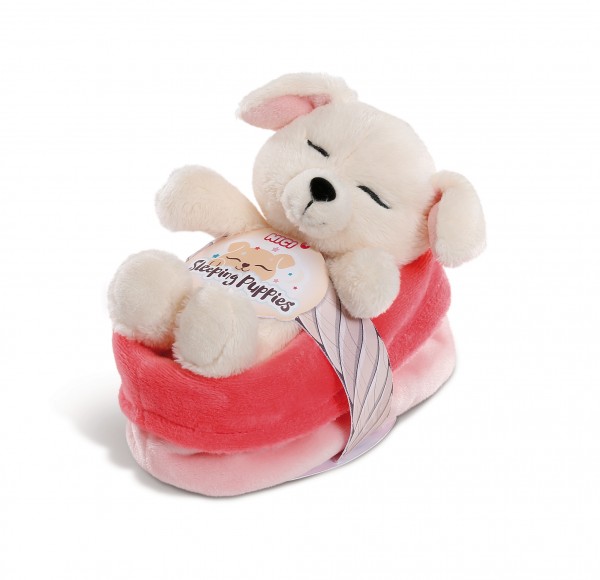 Cuddly toy dog in red-pink basket