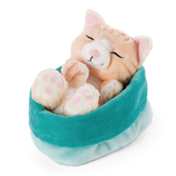 Cuddly toy cat brown 12cm in blue-green basket