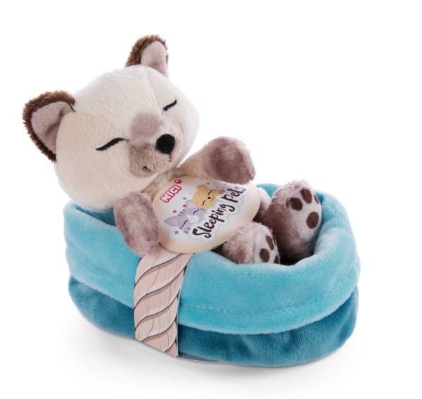 Cuddly Toy Kitty Siam Cat 12cm in blue-turquoise basket